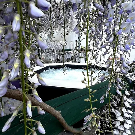 ベッド・アンド・ブレックファスト Gan Eden