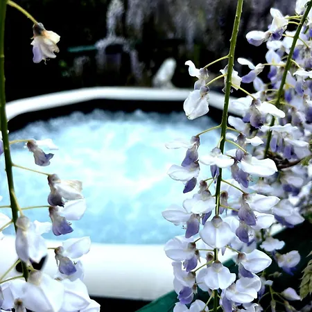 Gan Eden 3* San Benedetto Del Querceto