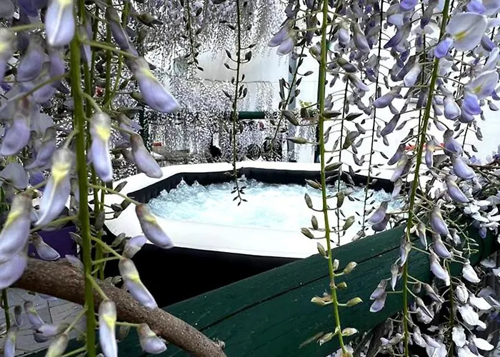 Bed & Breakfast Gan Eden