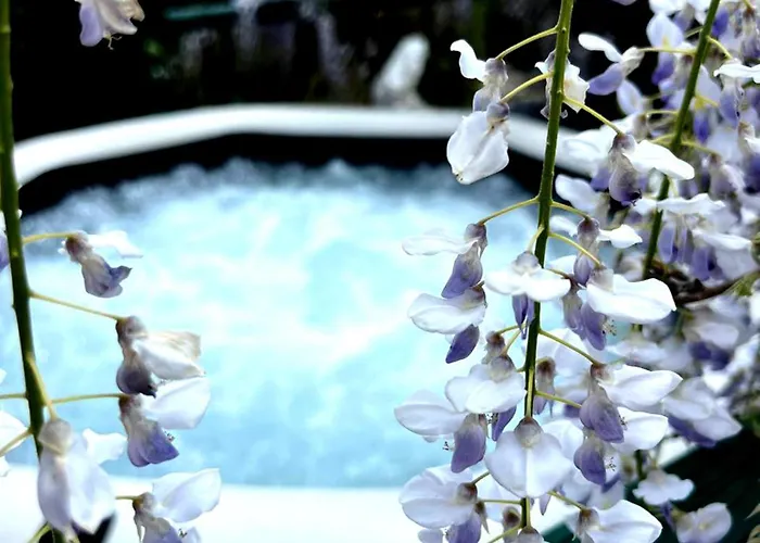 Gan Eden 3* San Benedetto Del Querceto